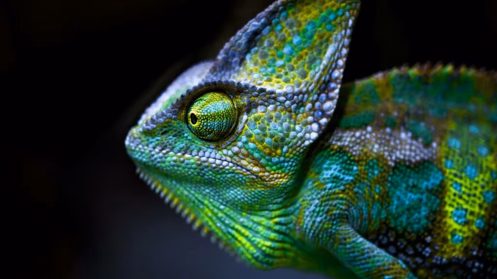 Animais com superpoderes impressionantes que a ciência estuda até hoje