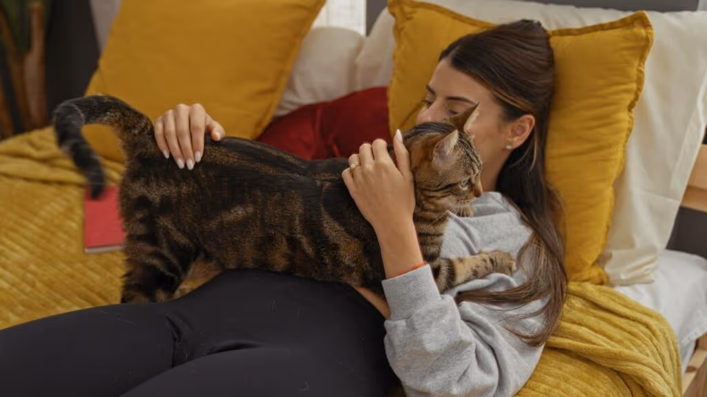 Esse é o motivo real por trás do “amassar pãozinho” dos gatos