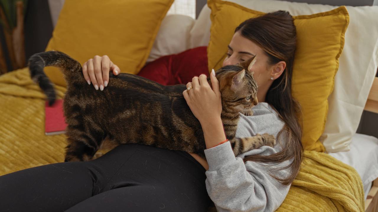 Esse é o motivo real por trás do “amassar pãozinho” dos gatos