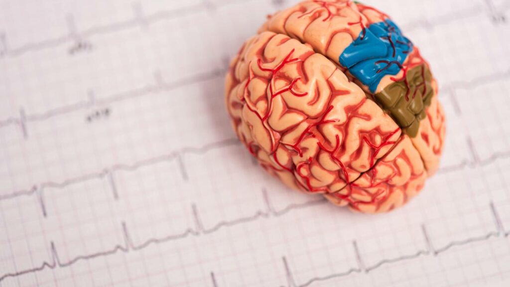 Cientistas revelam que adolescência não termina aos 18 anos