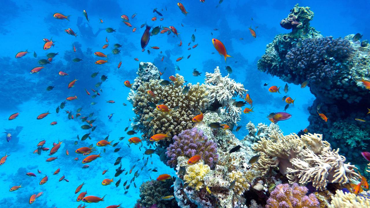 O primeiro dos cenários catastróficos e irreversíveis está se aproximando, dizem os cientistas