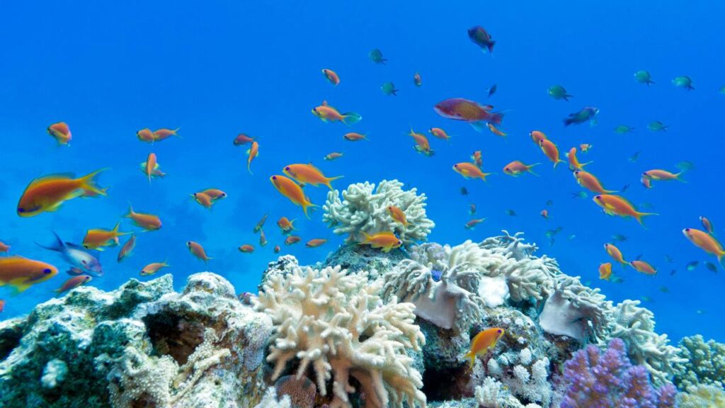 O primeiro dos cenários catastróficos e irreversíveis está se aproximando, dizem os cientistas