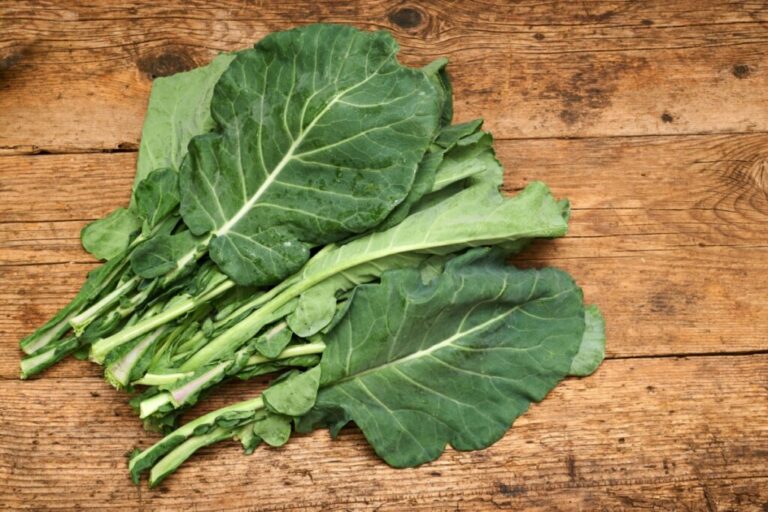 5 grupos de alimentos essenciais para incluir na dieta vegana 
