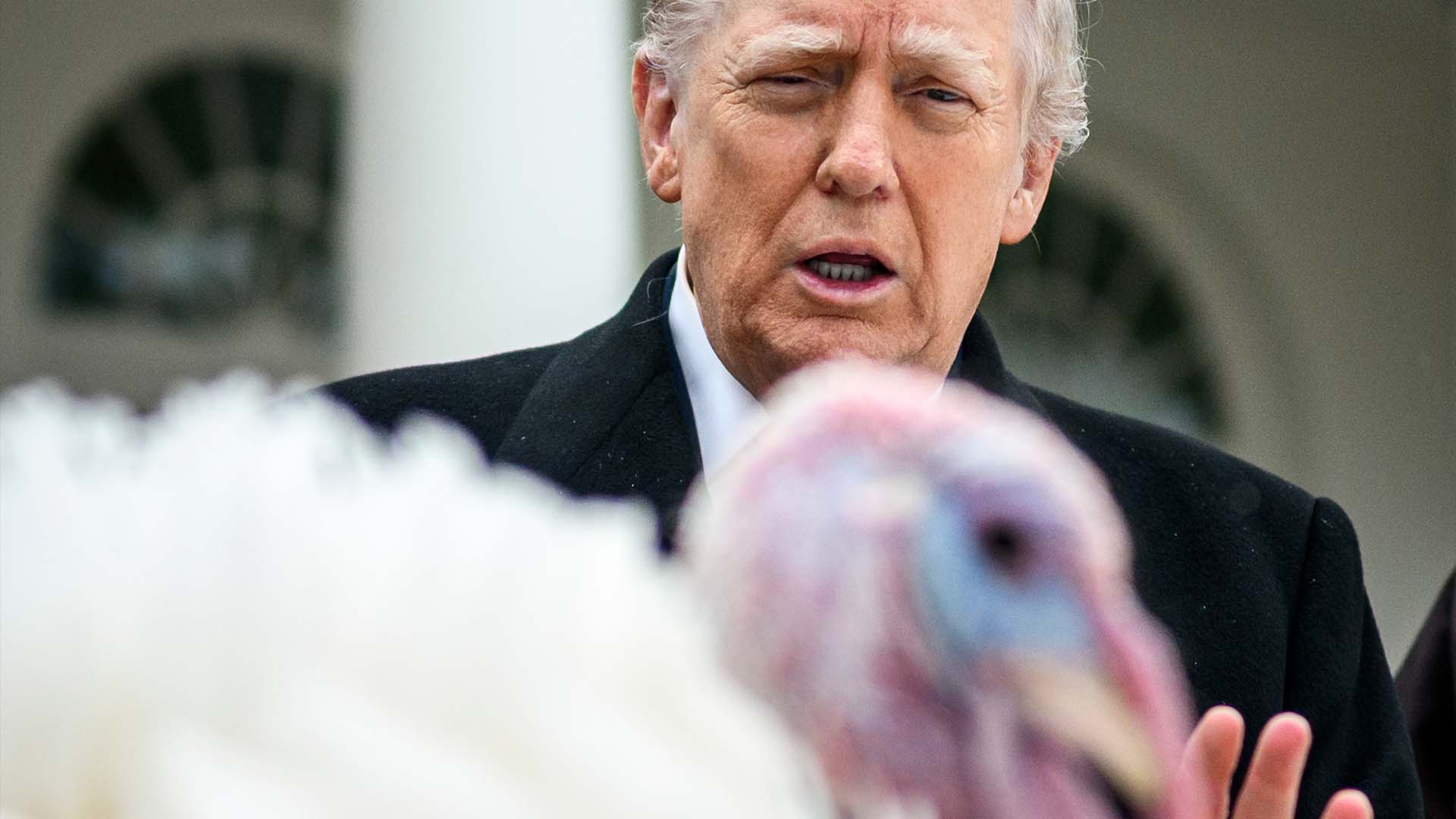 EUA suspendem emissão de vistos para afegãos