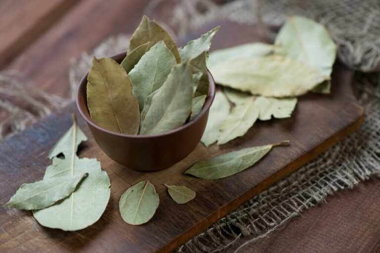 Chá de louro: 8 benefícios para a saúde e dicas de preparo