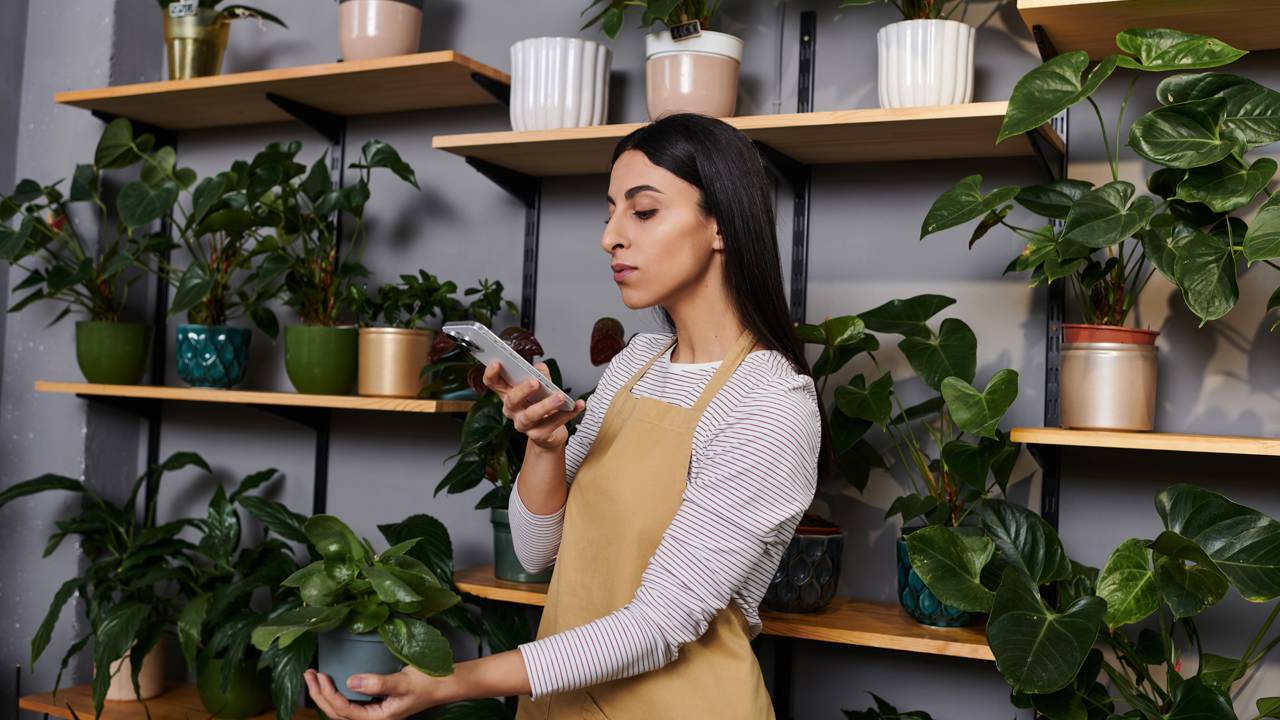 O app que identifica plantas, objetos, músicas e até animais pelo som