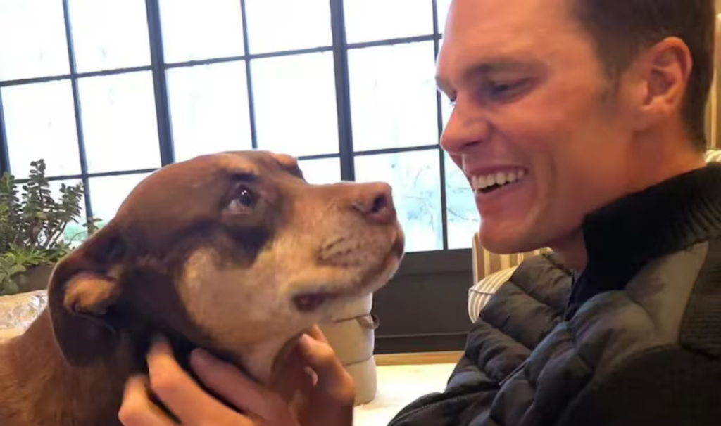 Tom Brady choca fãs ao revelar que sua nova cadela é um clone da anterior
