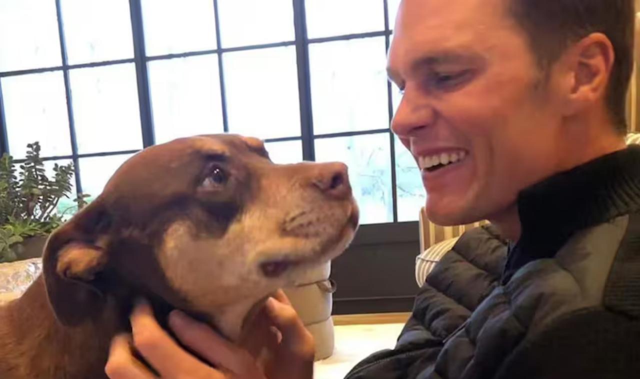 Tom Brady choca fãs ao revelar que sua nova cadela é um clone da anterior