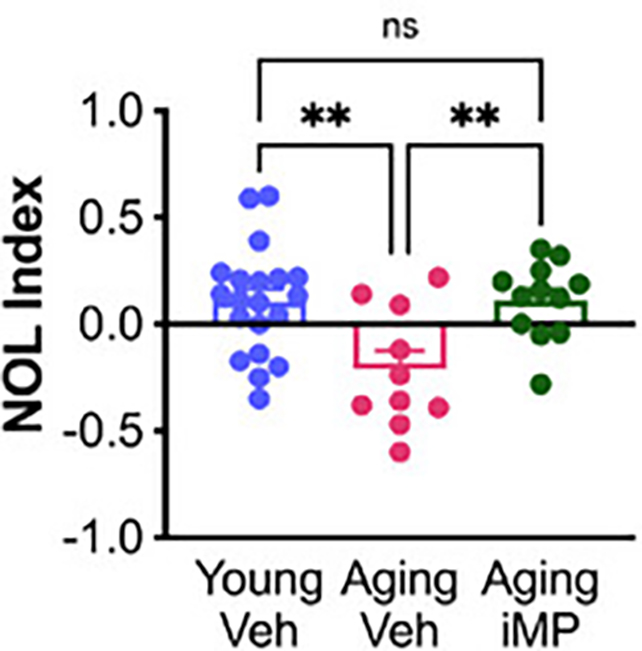Camundongos velhos que tiveram células novas injetadas performaram tão bem quanto camundongos jovens injetados com placebo - Moser et al., Adv. Sci., 2025