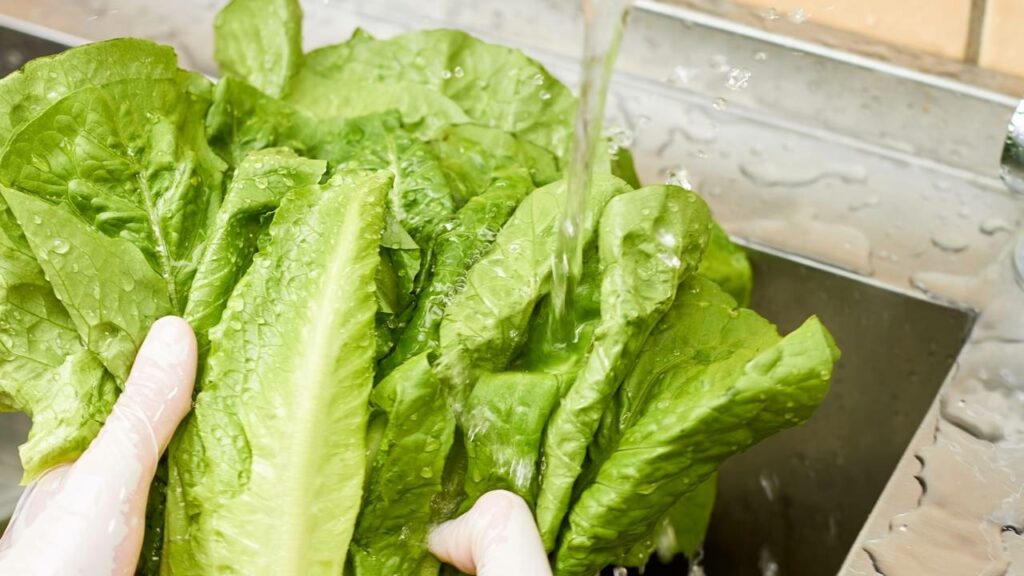 Depois que aprendi isso, nunca mais lavei salada do jeito errado