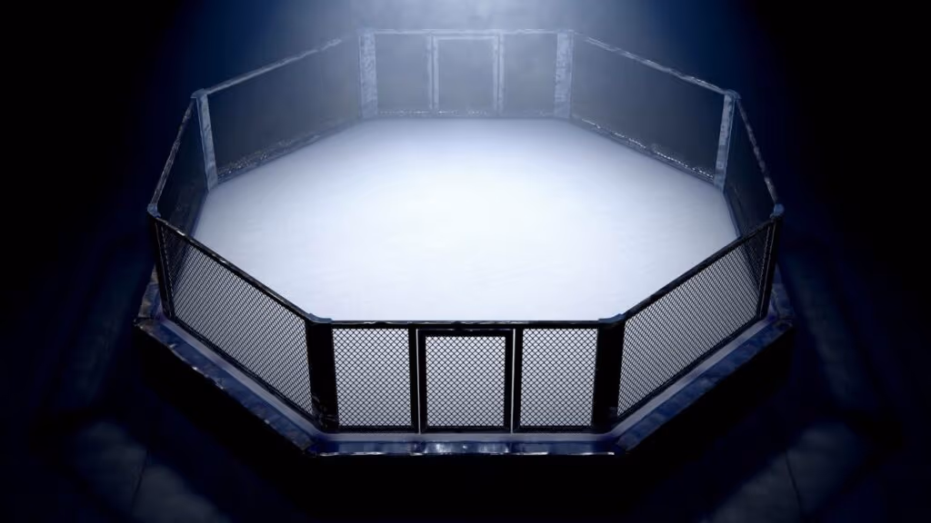 Streamer debocha de lutador de MMA e é espancado ao vivo