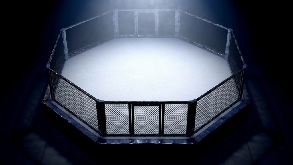 Streamer debocha de lutador de MMA e é espancado ao vivo