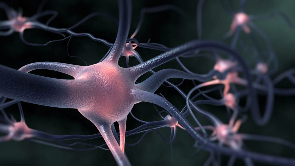 Cientistas utilizaram a tecnologia Neuropixel para visualizar como os neurônios reagem a imprevistos - Créditos: depositphotos.com / iLexx