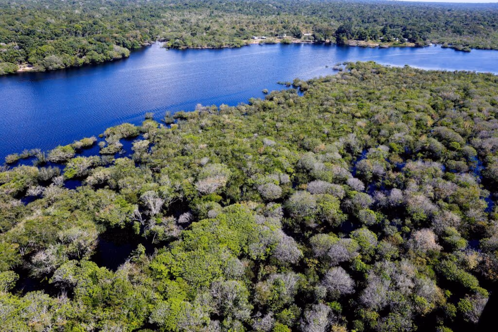 Crusoé: Antes da COP30, Reino Unido desiste de fundo para florestas