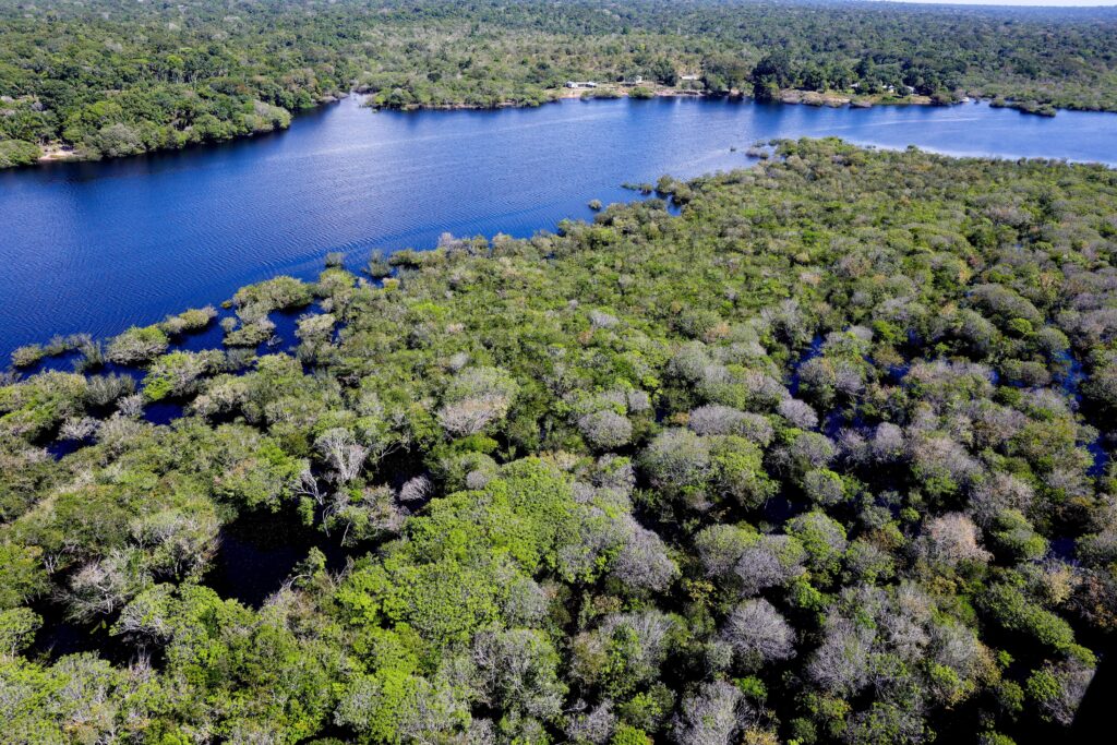 Crusoé: Antes da COP30, Reino Unido desiste de fundo para florestas
