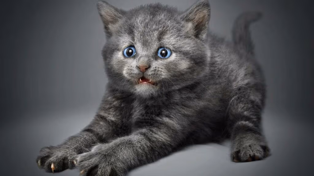 Vídeo mostra animais se assustando sem motivo e encanta a internet