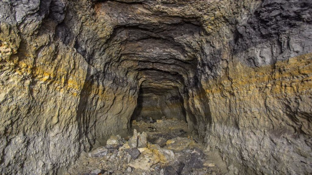 Cientistas revivem microorganismos de 40 mil anos e descobrem liberação acelerada de carbono
