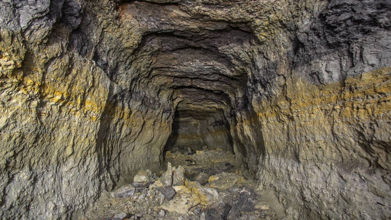 Cientistas revivem microorganismos de 40 mil anos e descobrem liberação acelerada de carbono