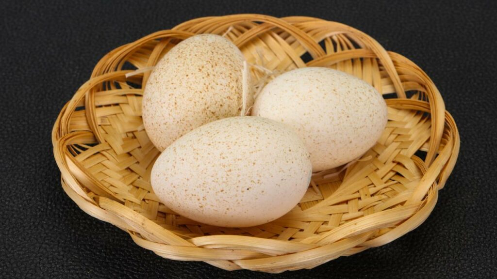 Por que ovos dessa ave são tão raros na culinária?