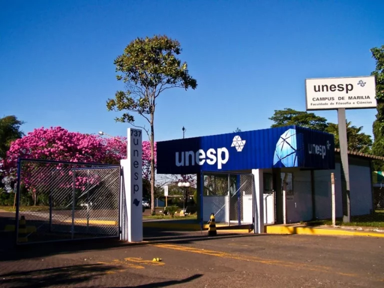 “Estava em surto”, alega defesa de professor demitido da Unesp