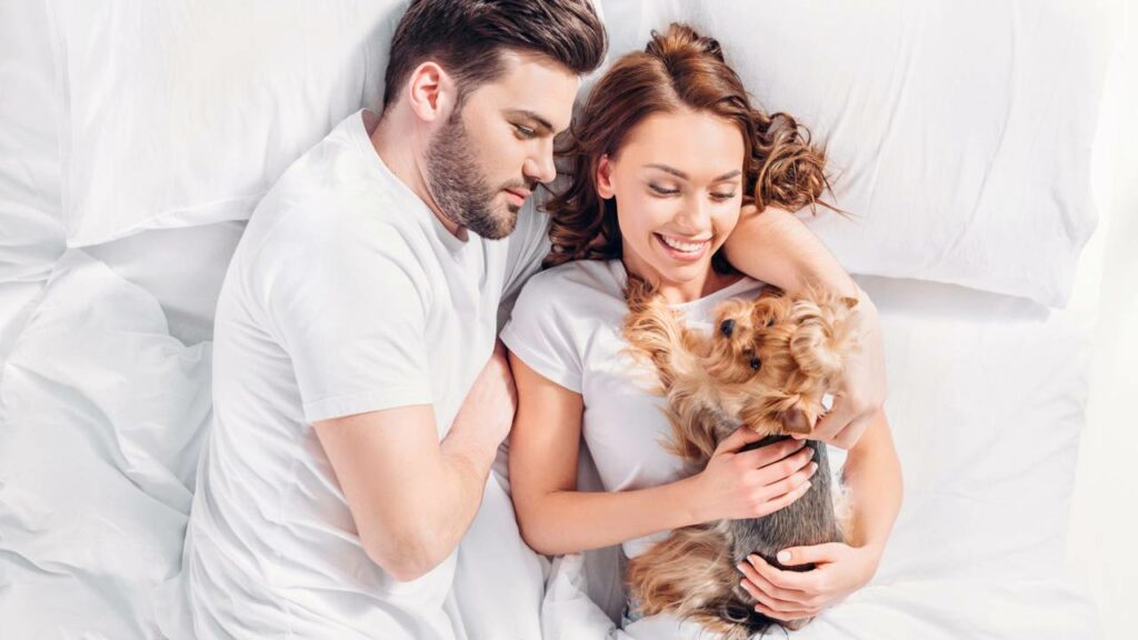Animais de estimação geram um vínculo forte e comparável a um membro da família - Créditos: depositphotos.com / AllaSerebrina