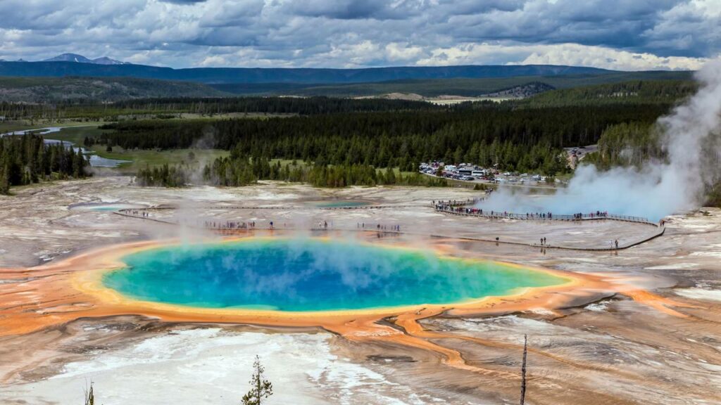 Animal gigante morre fervido ao cair em piscina termal