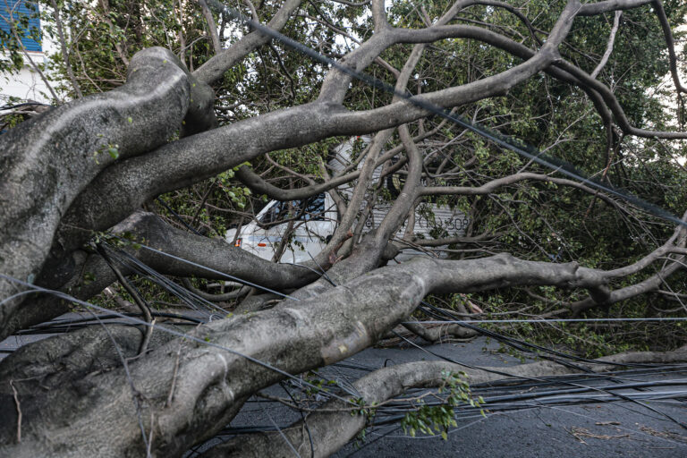 São Paulo no escuro: o vento sopra, a cidade cai — e ninguém é responsável