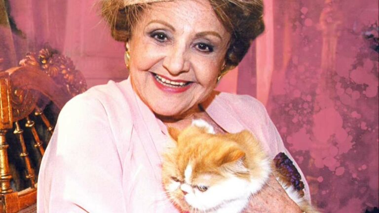 Imagem Destaque