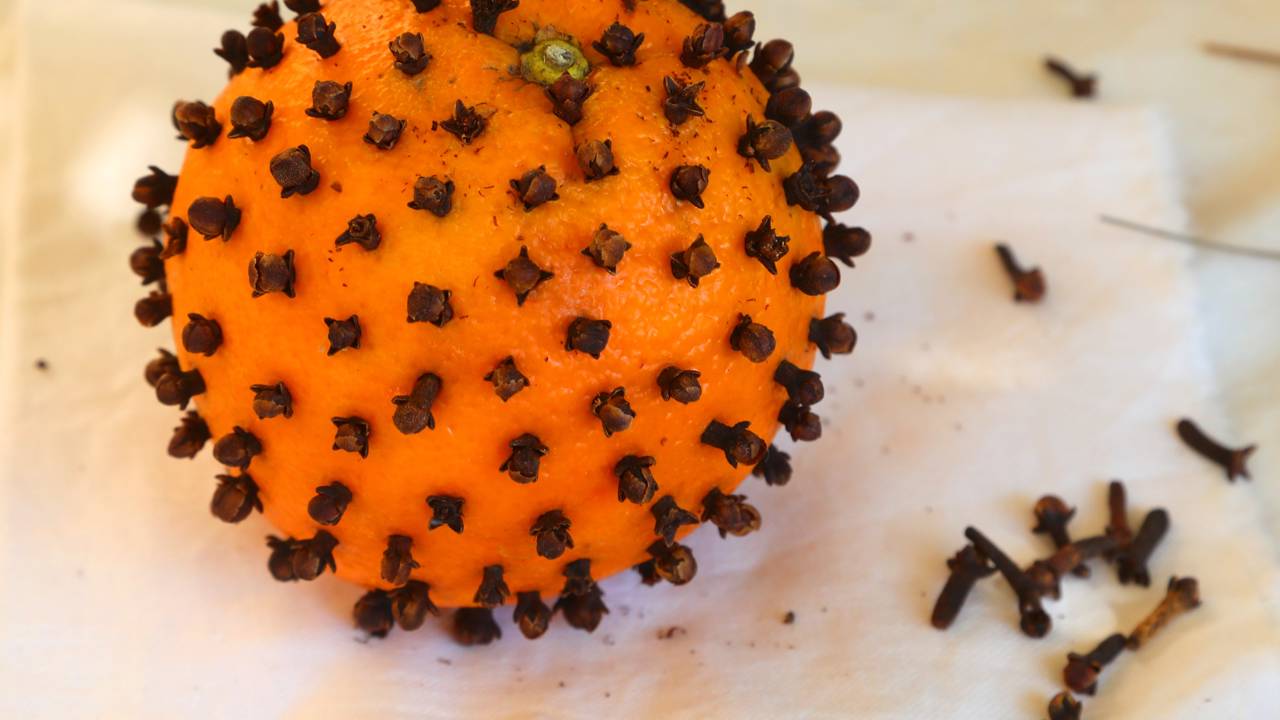 Casca de laranja e cravo-da-índia: Qual a utilidade de colocá-los num frasco dentro de casa