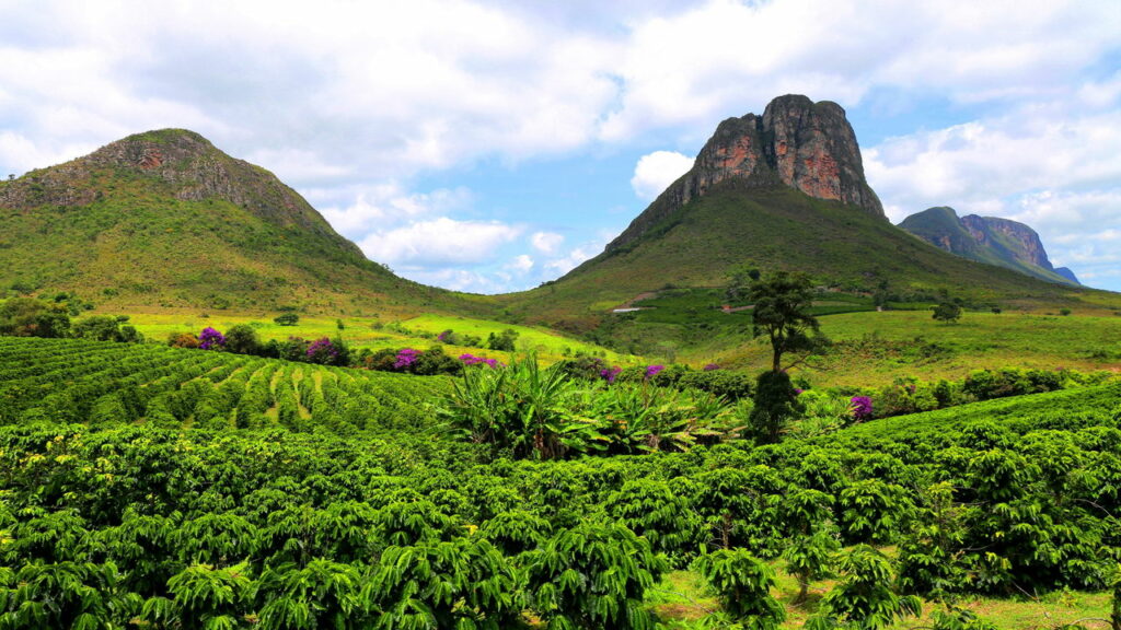 O paraíso brasileiro onde trilhas levam a paisagens que parecem de outro planeta