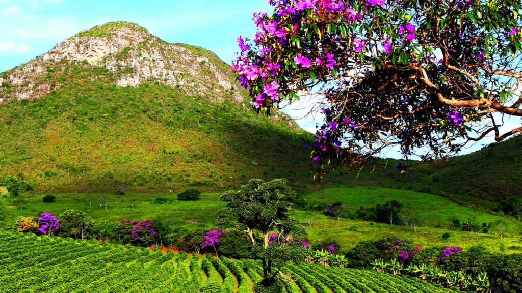 O paraíso brasileiro onde trilhas levam a paisagens que parecem de outro planeta
