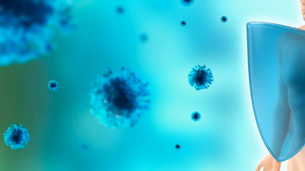 Como a recuperação de uma proteína perdida com a idade pode fortalecer a imunidade