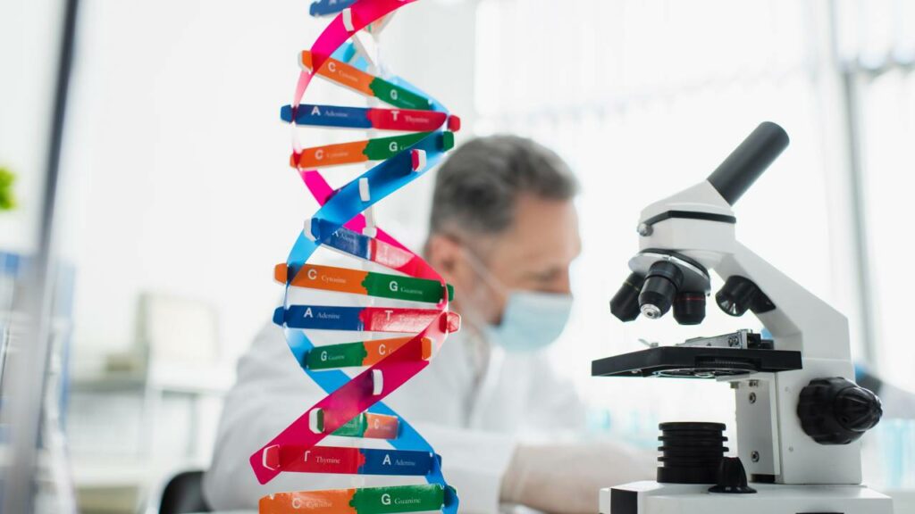 Como a recuperação de uma proteína perdida com a idade pode fortalecer a imunidade