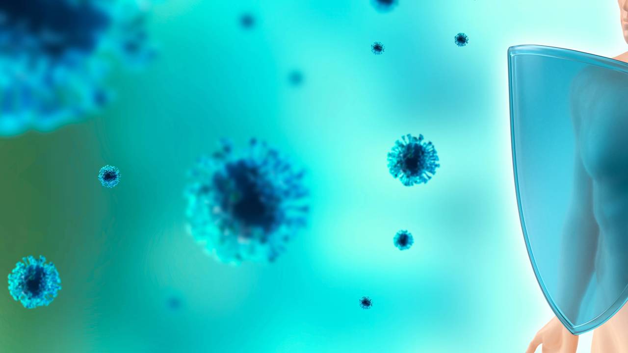 Como a recuperação de uma proteína perdida com a idade pode fortalecer a imunidade