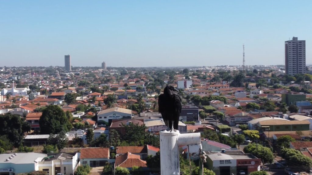A cidade do Mato Grosso que surpreende quem busca viver com qualidade no interior