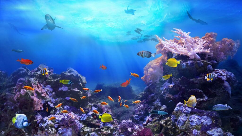 Criaturas marinhas desconhecidas são vistas na Antártida e podem reescrever a história da biologia