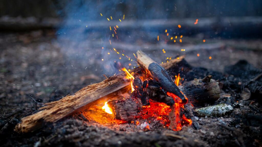 Faz sentido queimar madeira podre? A pergunta é mais legítima do que qualquer um pensa