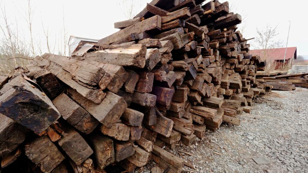 Faz sentido queimar madeira podre? A pergunta é mais legítima do que qualquer um pensa