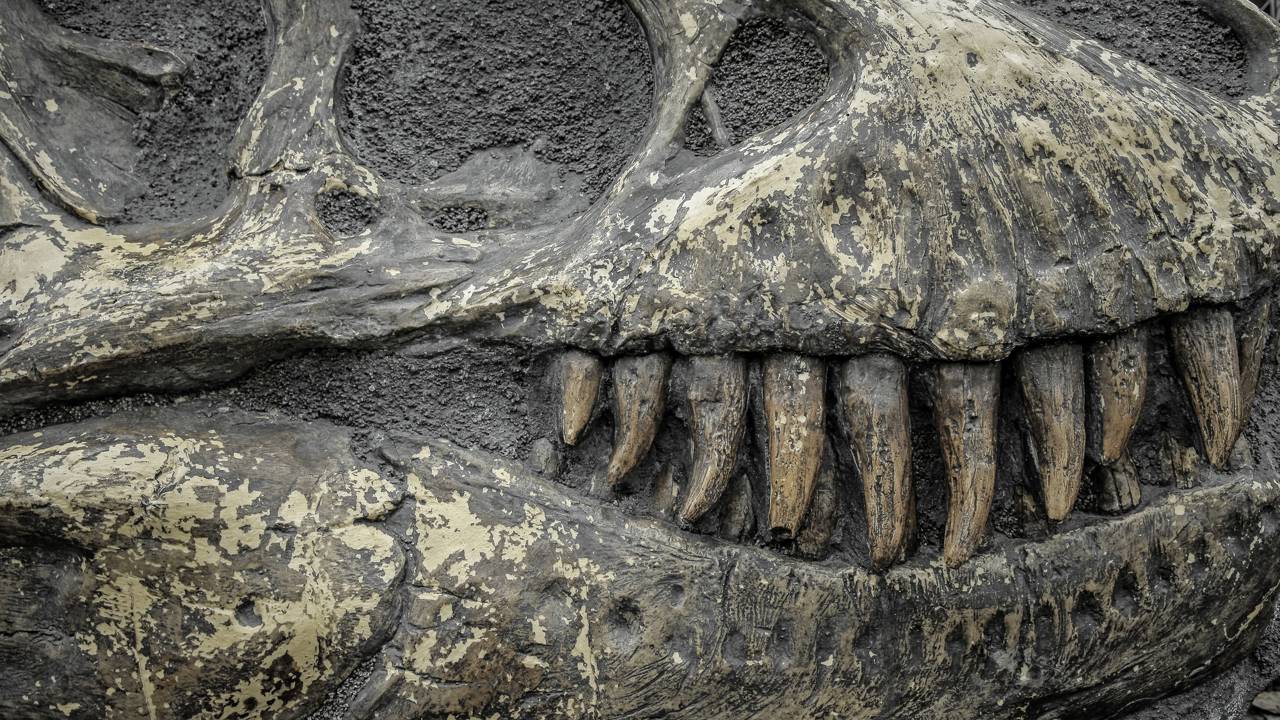 Fóssil de dinossauro encontrado ainda com restos de pele preservada