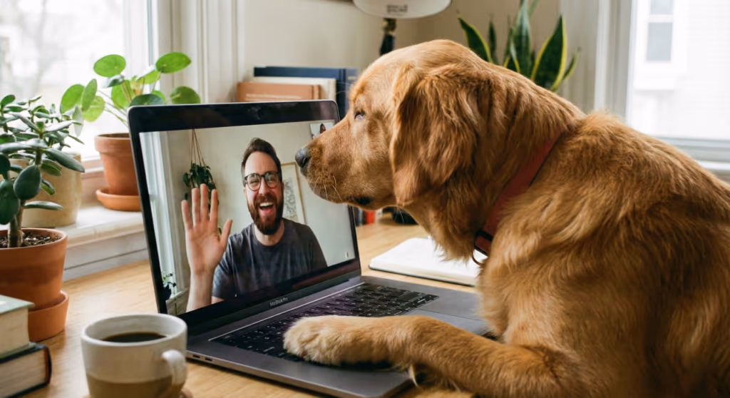 Cachorros conseguem reconhecer seus donos pelo celular?