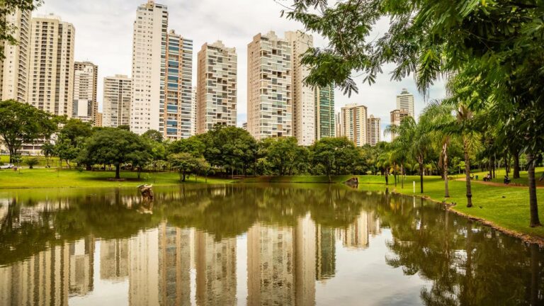 Imagem Item