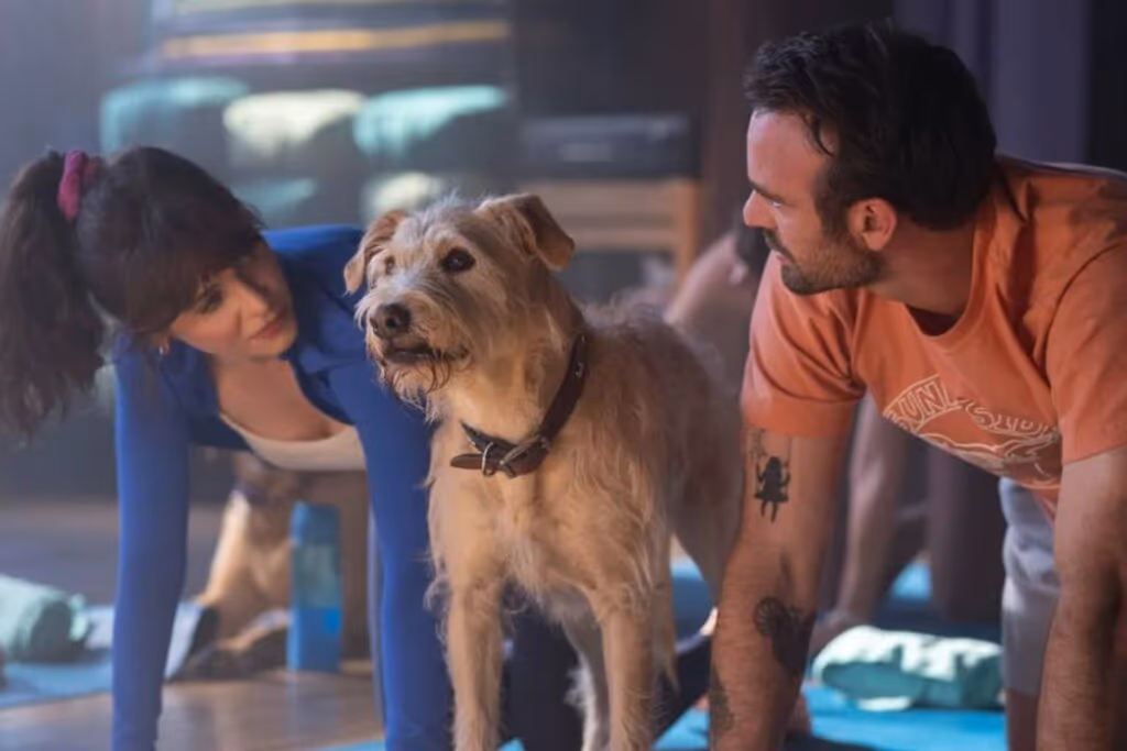 Lançamentos da semana: o que chega à Netflix, ao Disney+ e ao Prime Video entre 08 e 14 de dezembro