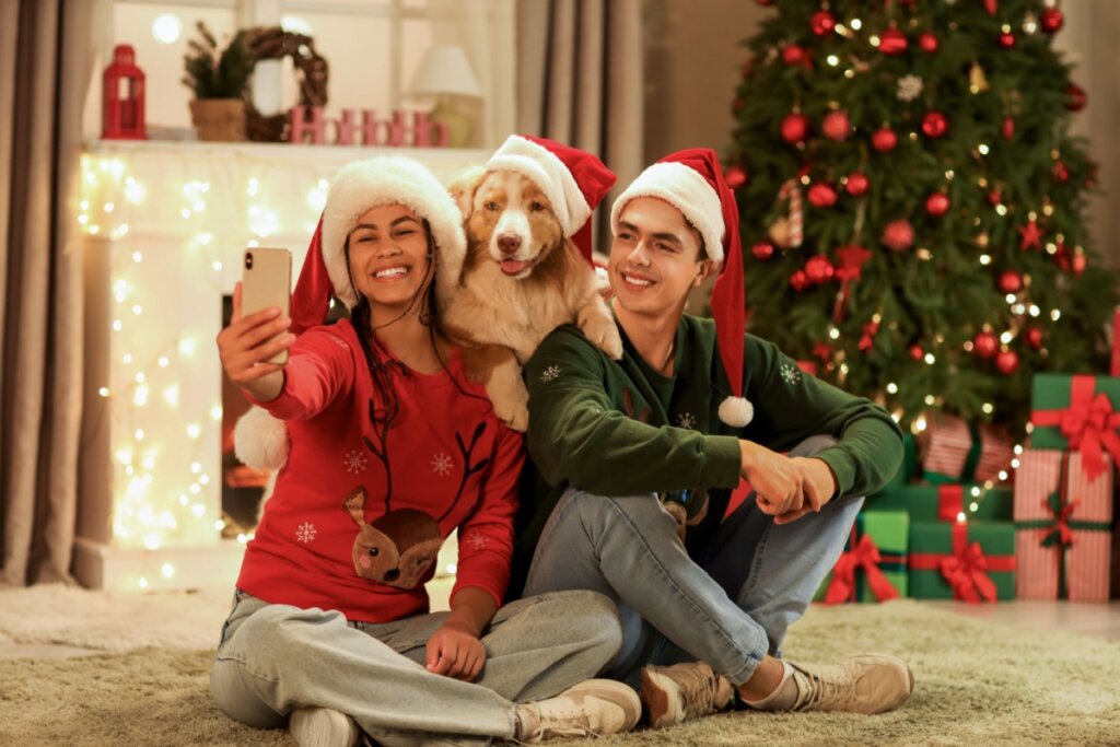 10 dicas para incluir o pet nas celebrações de Natal em família 
