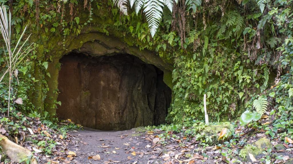 Cientistas encontram uma nova espécie animal com mais de 100 milhões de anos na Espanha