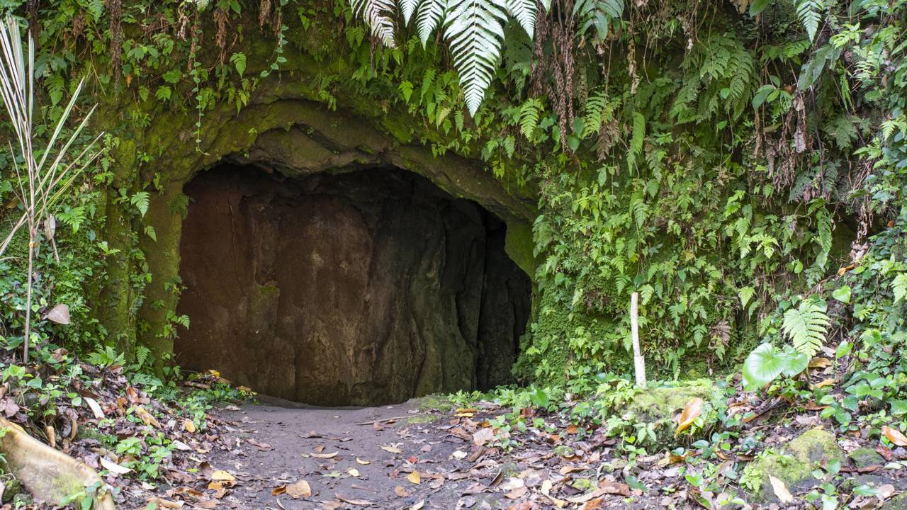 Os cientistas encontram uma nova espécie animal com mais de 100 milhões de anos na Espanha