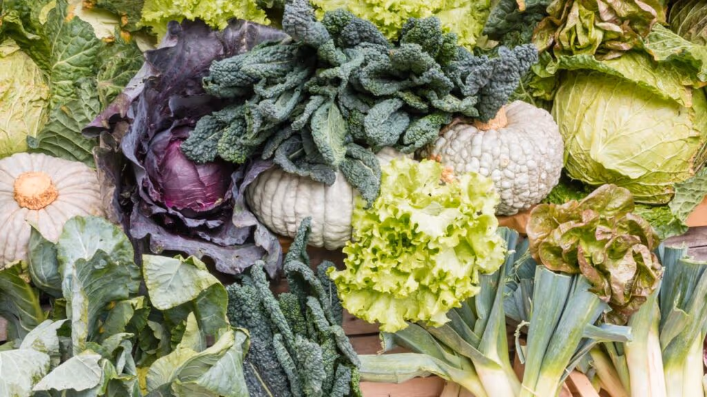 Pesquisa estuda se brócolis e outros vegetais podem ser possíveis aliados da imunoterapia e tratamentos contra o câncer