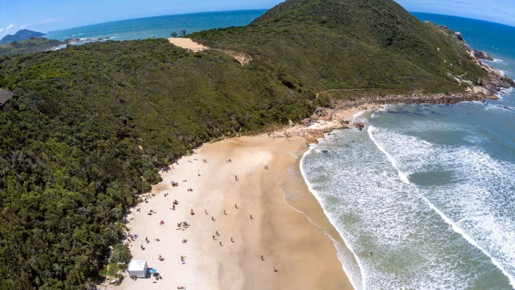 A praia brasileira eleita entre as mais bonitas do mundo onde baleias surgem a poucos metros da areia