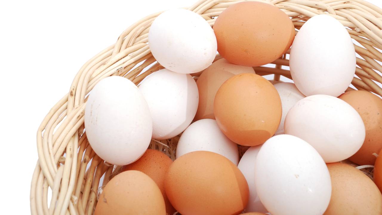 Qual a diferença entre o ovo branco e o vermelho?