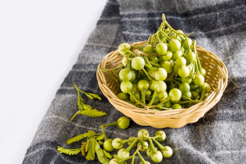6 benefícios da planta jurubeba para a saúde
