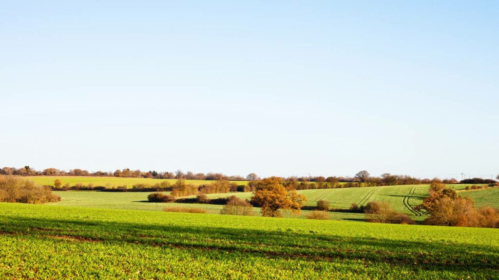 Evidência mostra que neandertais fabricavam fogo intencionalmente